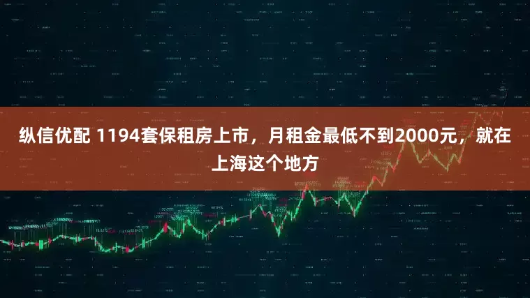 纵信优配 1194套保租房上市，月租金最低不到2000元，就在上海这个地方